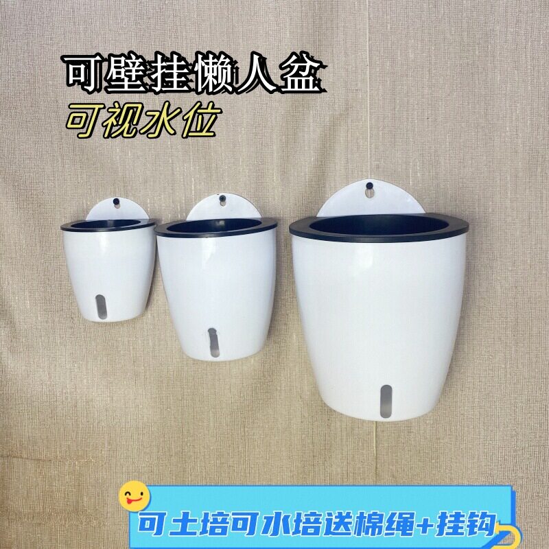 墙上水培绿植壁挂花盆塑料阳台吊篮挂壁式墙角落挂墙绿萝可视花盆