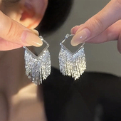 高级感银色金属流苏几何耳环女春夏季 轻奢小众设计名媛风气质耳饰