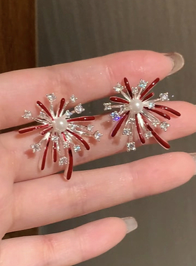 s925银针闪钻烟花耳环轻奢小众复古耳钉新款独特个性高级耳饰新款