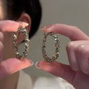 碎银子圆圈圈S925银针耳环女小众轻奢高级感耳钉独特耳圈新款 耳饰