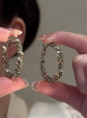 碎银子圆圈圈S925银针耳环女小众轻奢高级感耳钉独特耳圈新款耳饰