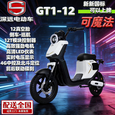 深远新国标可上牌大功率电动车