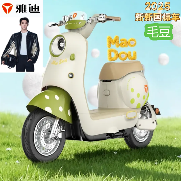 雅迪新款家用代步全国可上牌女士