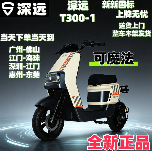 深远T300新国标电动车智能控车超长续航锂电池外卖骑手家用通勤