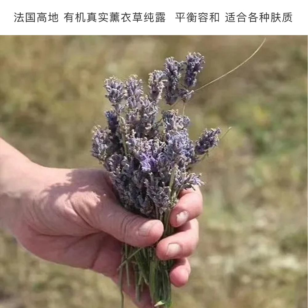 好赞！法国高地AOP真实薰衣草纯露 平衡水油淡豆印补水 香气柔和