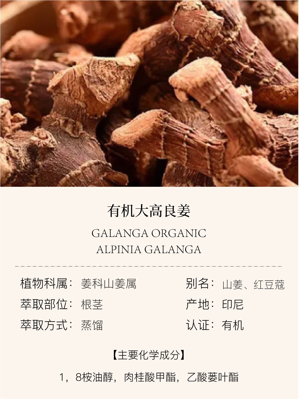 【若水】印尼大高良姜精油 暖胃健脾消化促代谢