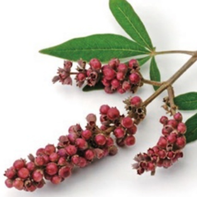 【若水】贞节树精油  有几 巴尔干黑山 女性的闺蜜好友 果实蒸馏