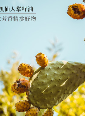 【若水】仙人掌籽油 摩洛哥有几 眼部精华抗老淡眼纹基础油