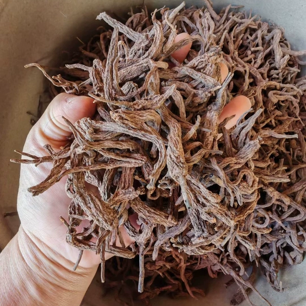 红大戟中药材50g包邮无硫正品红芽大戟干紫大戟大戟京大戟广大戟