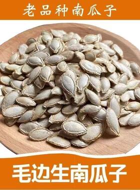 云南生南瓜子新货大颗粒农家自种南瓜籽老品种毛边南瓜子生瓜子