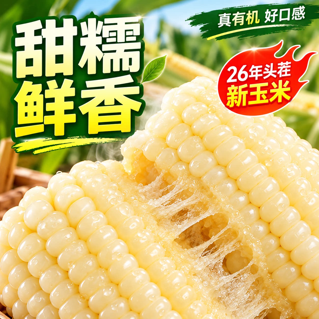 2026有机糯玉米新鲜甜糯玉米