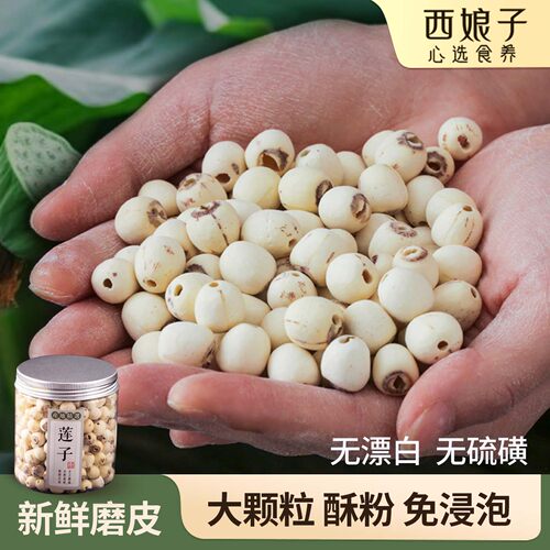 【大颗粒湘莲子】粉面好吃无硫磺