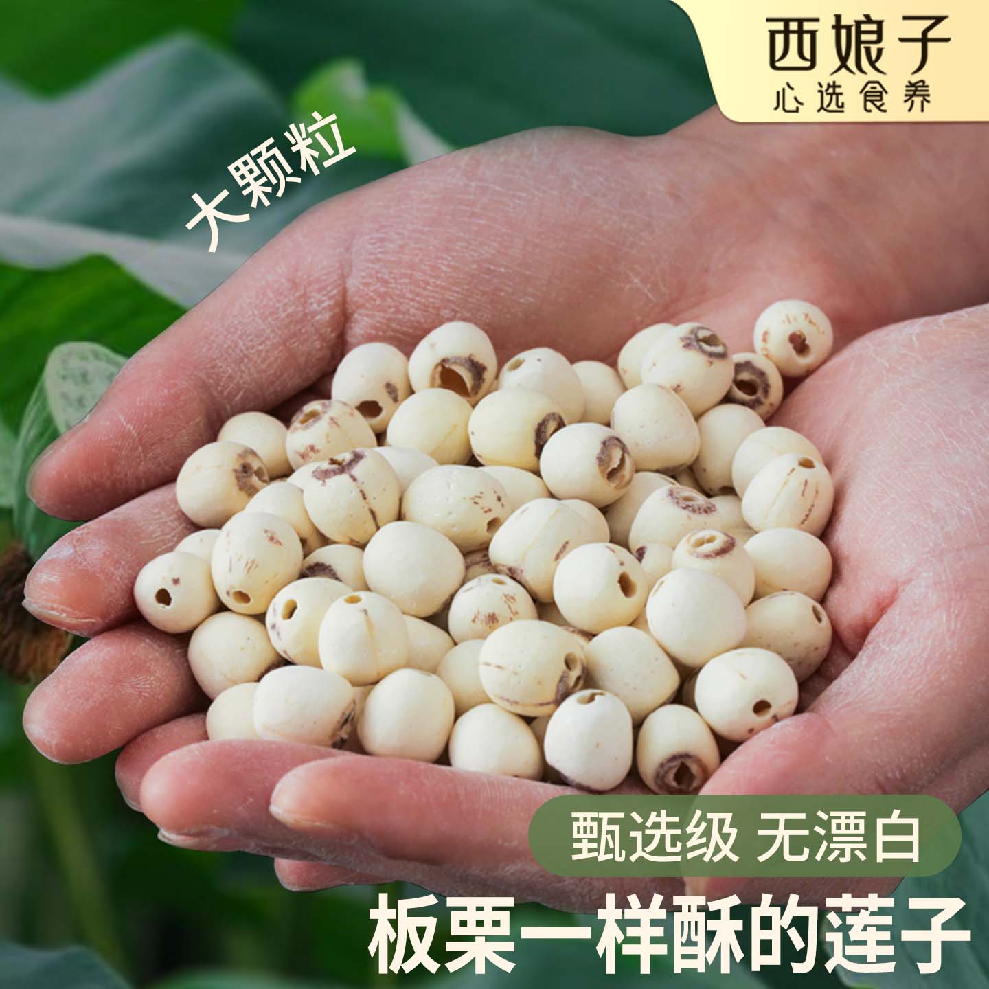 【甄选大颗粒】湘莲子天然磨皮白莲空芯去心干货不漂白酥粉250g瓶