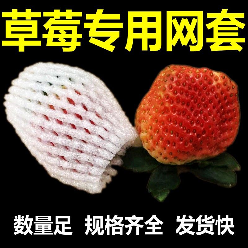 草莓枇杷网套专用水果防震保护套苹果橙子包装网袋泡沫网格袋网兜