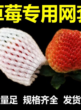 草莓枇杷网套专用水果防震保护套苹果橙子包装网袋泡沫网格袋网兜