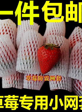 草莓枇杷专用水果网套苹果梨泡沫发泡包装猕猴桃橙子防震网兜网袋