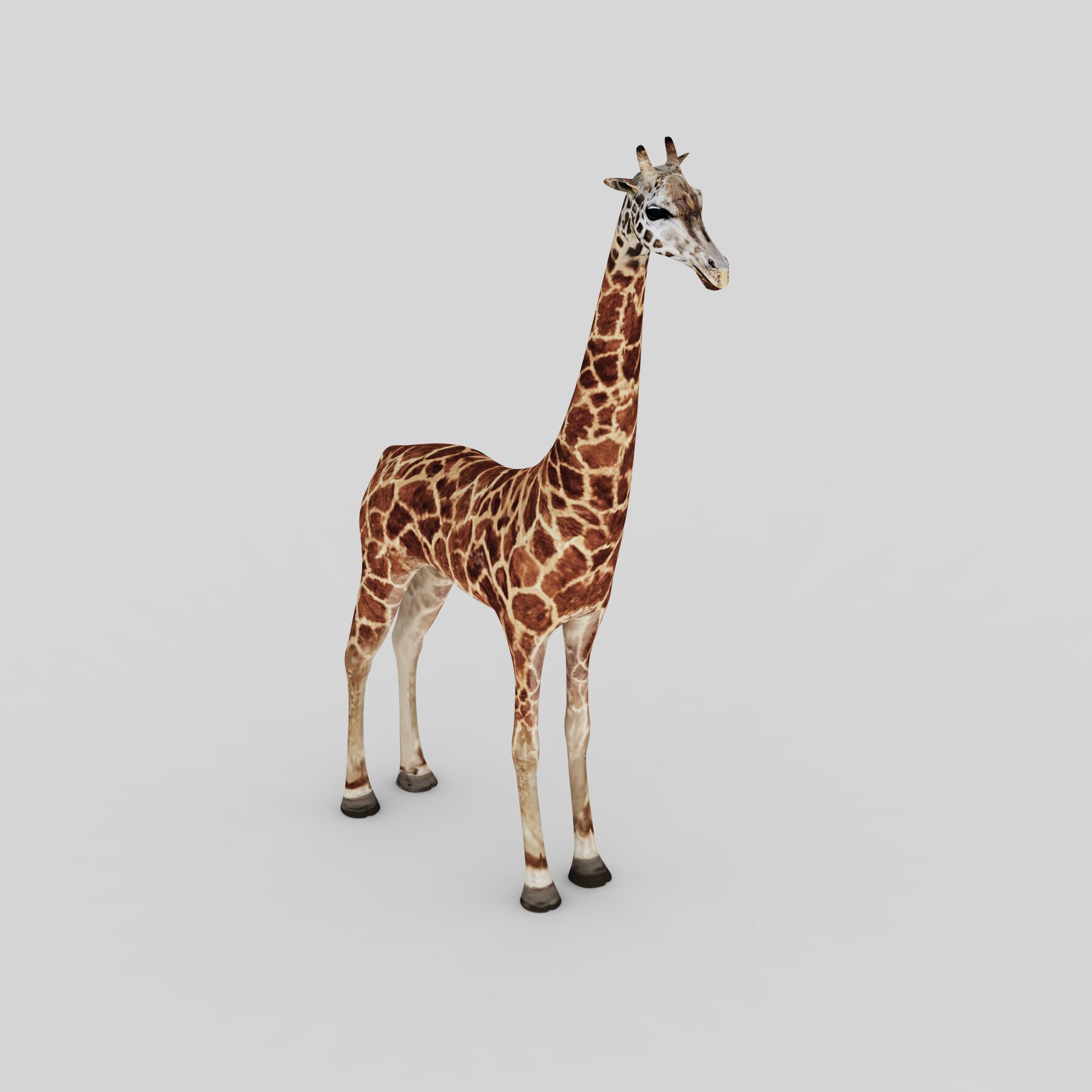 长颈鹿3d模型设计素材 动物场景模型 可爱儿童 犀牛rhino keyshot