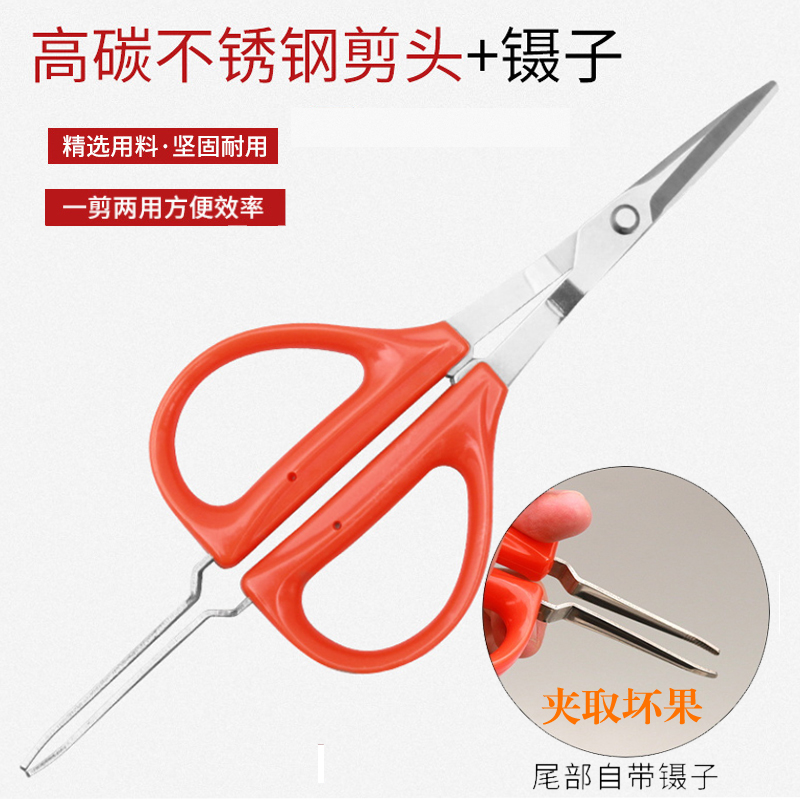 锋利耐用带镊子稀果剪