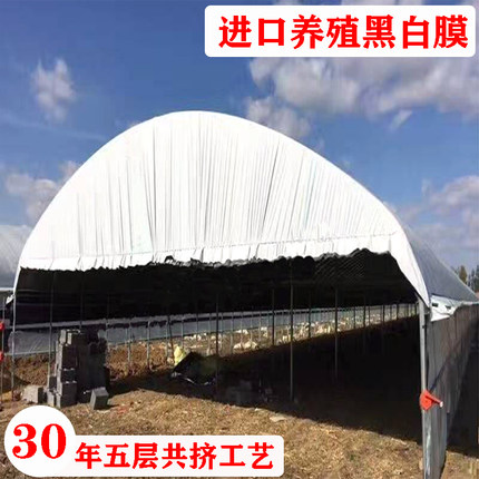 黑白膜养殖塑料布塑料薄膜塑料膜薄膜大棚膜塑料纸隔热膜防晒加厚