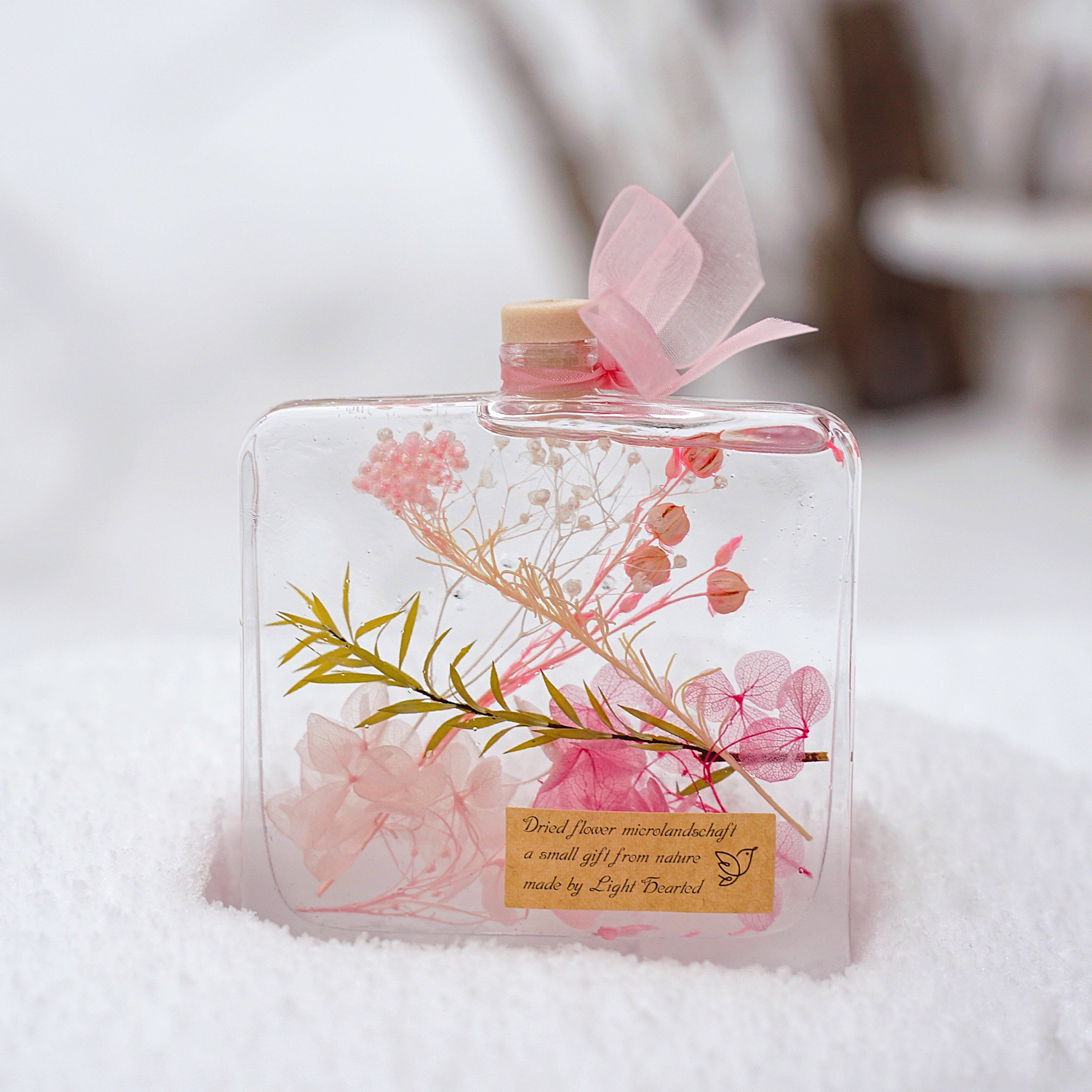 浮游花永生花干花植物标本礼物