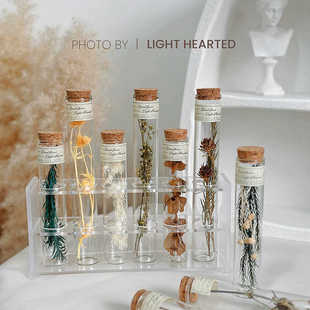 永生花干花玻璃试管植物标本店铺软装客厅样板间摆件生日节日礼物