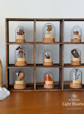 复古永生花干花种子果实植物标本玻璃罩微景观教室客厅样板间摆件