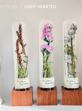 复古玻璃罩植物标本玻璃试管干花永生花毕业生日圣诞情人节礼物