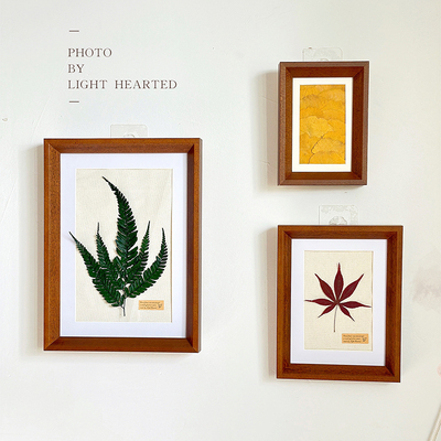 叶片贴画干花永生花相框植物标本