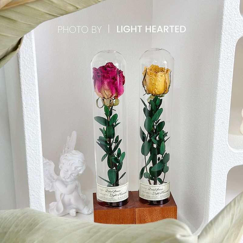 试管干花桌面摆件植物标本礼物