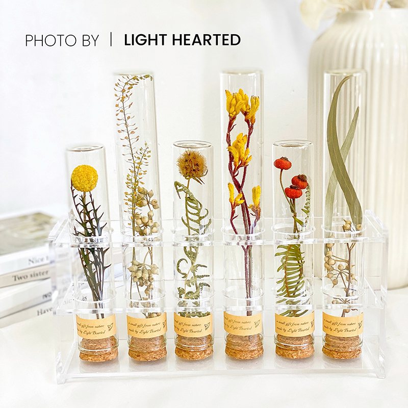 试管干花植物标本节日礼物装饰