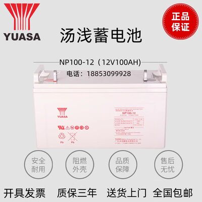 汤浅蓄电池12V100AH/NP-6