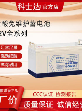科士达UPS铅酸蓄电池6FM12V100AH/17/24AH/38AH/65AH/150AH/200AH