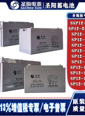 圣阳电池SSP12-18,SP12-24FR,33,38,40,50,65,80,100,120,150,200