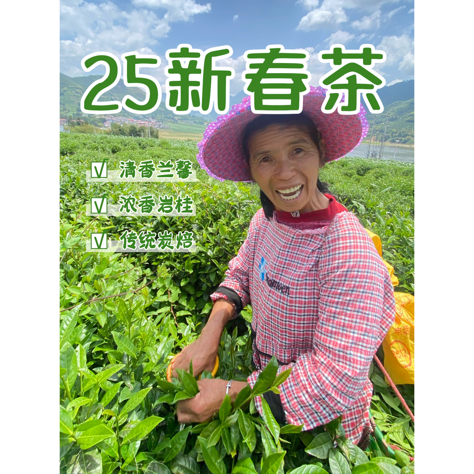 2025新茶漳平水仙茶叶乌龙茶试喝浓香香礼盒兰花香自己喝口粮茶