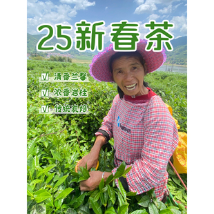 2025新茶漳平水仙茶叶乌龙茶试喝浓香香礼盒兰花香自己喝口粮茶