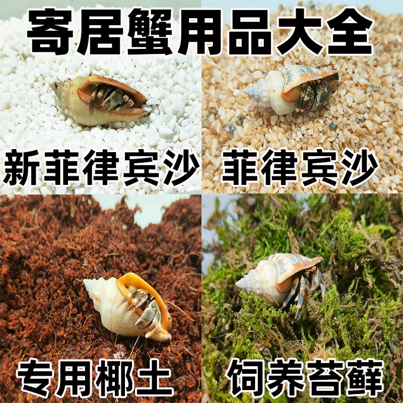 寄居蟹垫材专用沙子免洗椰土苔藓