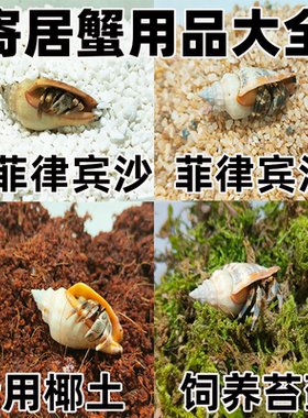 寄居蟹专用沙新菲律宾沙椰土苔藓