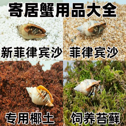 寄居蟹专用沙垫材珊瑚沙菲律宾沙子免洗砂饲养用品寄居蟹专用椰土