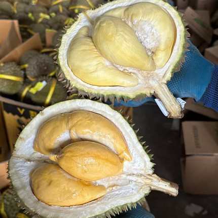 泰国金枕榴莲当季新鲜单果整个带壳鲜果非榴莲果肉包邮香甜核小