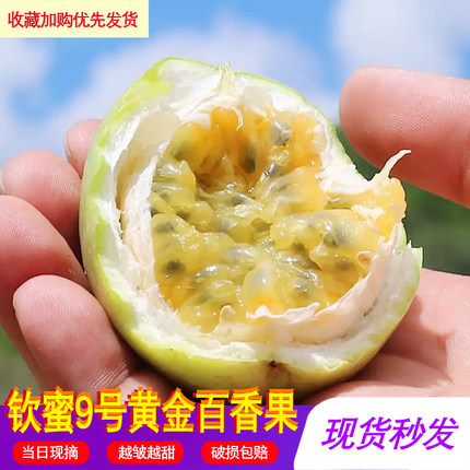【钦蜜9号】当季新果黄金百香果爆汁5斤3斤坏果包赔新鲜多汁大粒