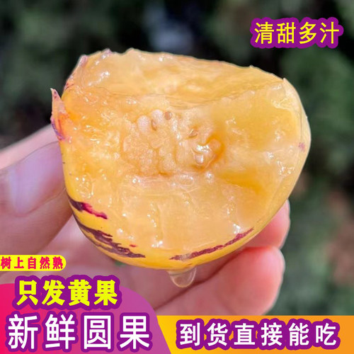 人参果+云南树上熟人参果+黄肉
