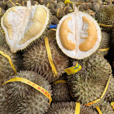 金枕榴莲老树泰国榴莲肉厚核小