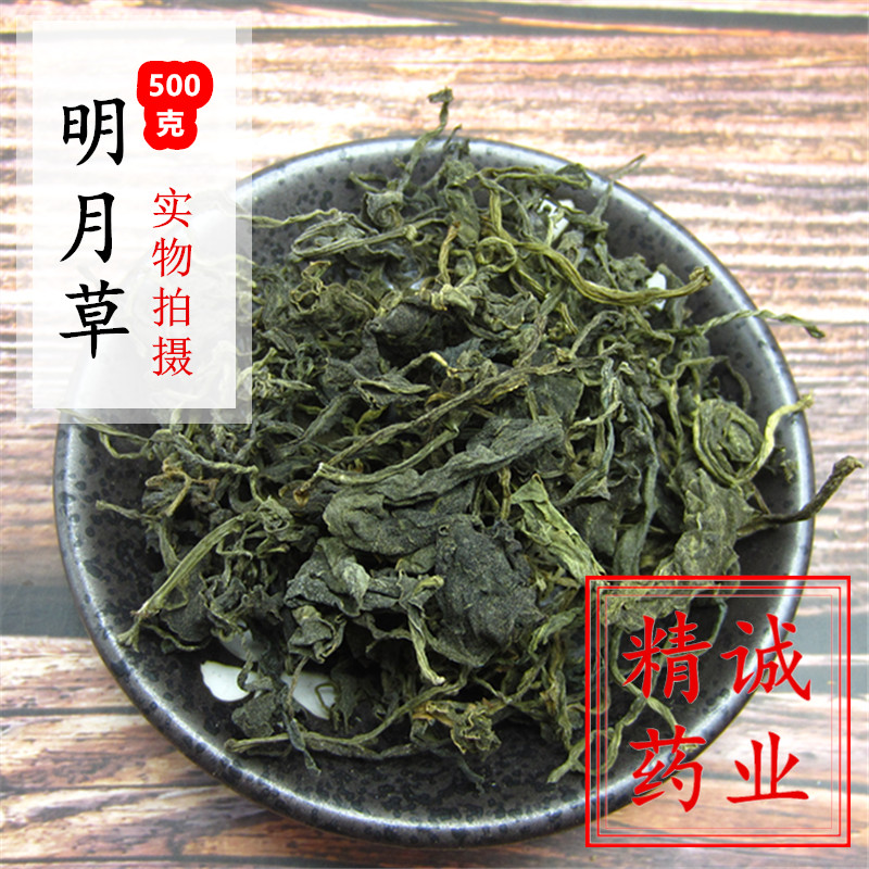 500g克包邮 明月草茶 明月草 富贵菜 白背三七 金鸡毛草 传统滋补营养品 其他药食同源食品 原图主图