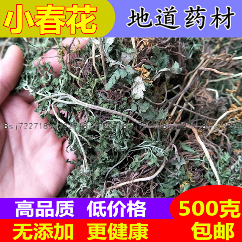 中药材小春花500克一朵云 破天云 阴地蕨 独立金鸡 散血叶 蛇不见