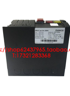 VPM-VC V1.0燃气检漏仪 德国Dungs冬斯原装检漏控制器 DSLC