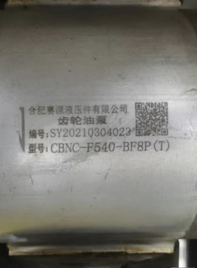 合肥赛源液压 CBNC-F540-BF8P(T) 耐高温齿轮泵 SAIYUAN齿轮油泵
