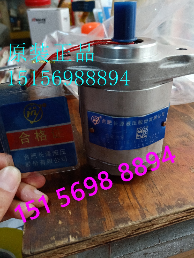 齿轮油泵微型泵HCHC/长源电机