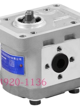 HCHC合肥长源液压齿轮油泵 CBW-F306-CFBS 双向油泵 液压泵齿轮泵