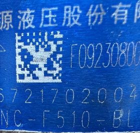 合肥长源液压 HCHC 齿轮油泵 CBNC-F510-BLHL 液压油泵 环卫车泵