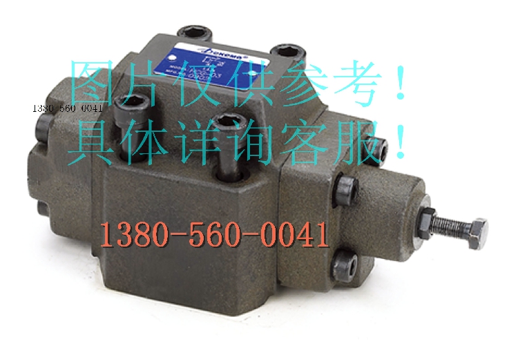 德克玛Dekema减压阀RG(T)-06 RCG(T)-06 HCG-06减压调压阀BSLSL
